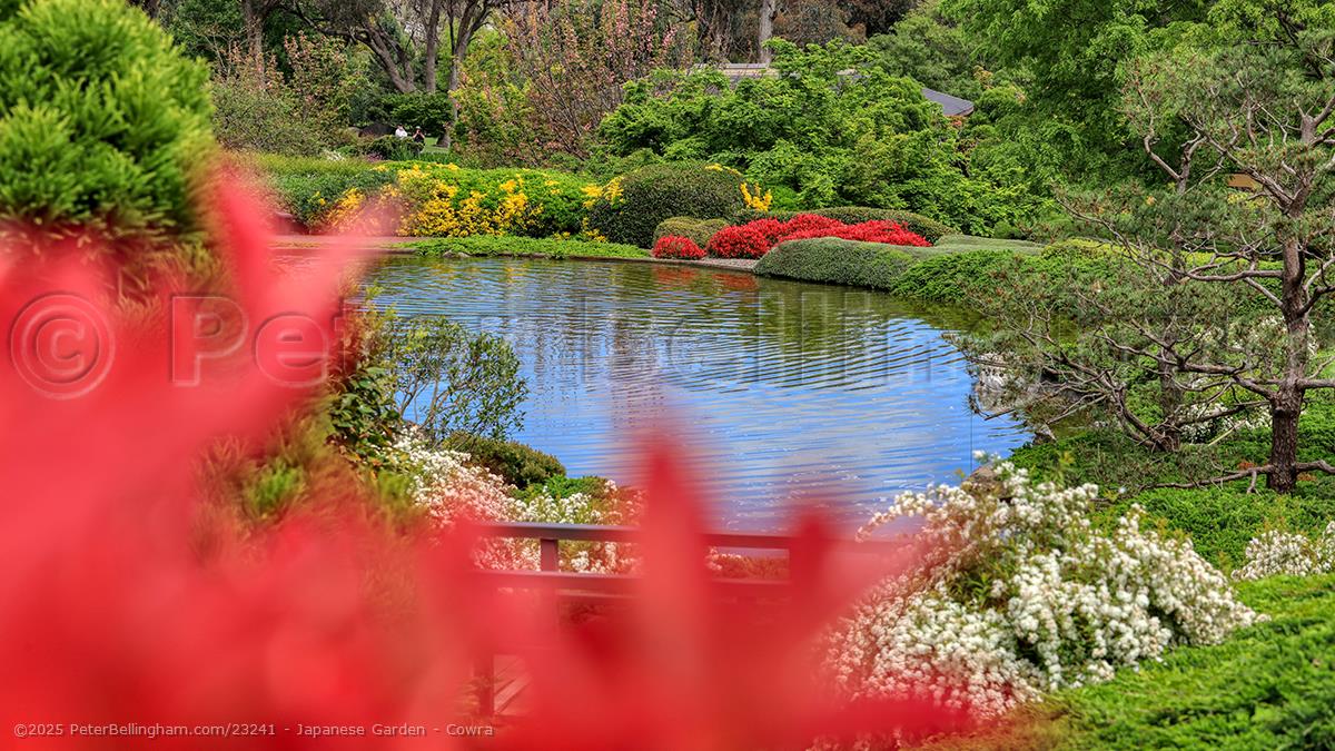 Peter Bellingham Photography Japanese Garden - Cowra